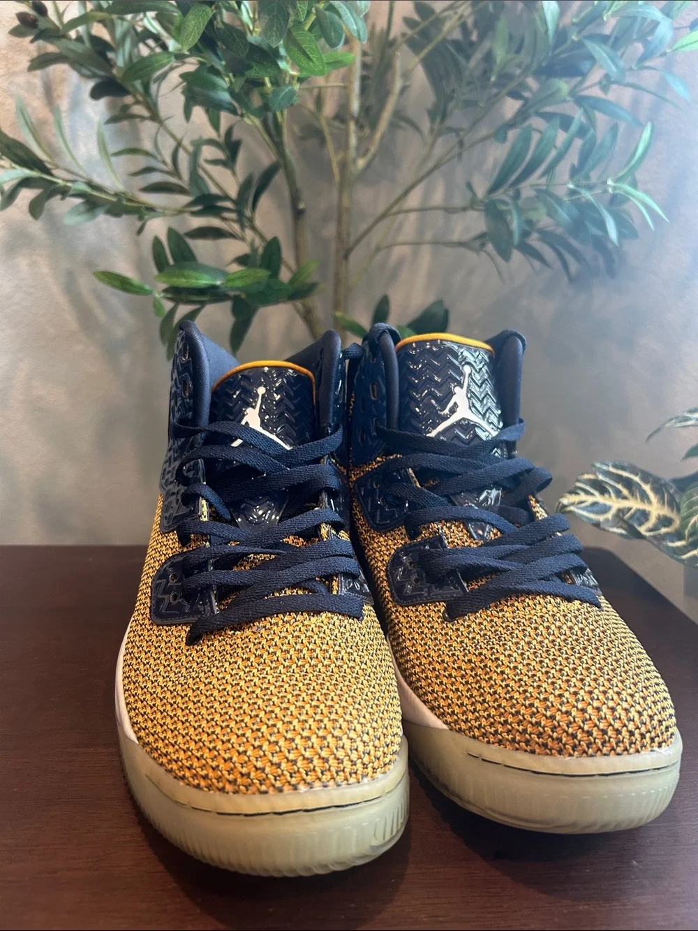 Nike Air Jordan Spike Forty 